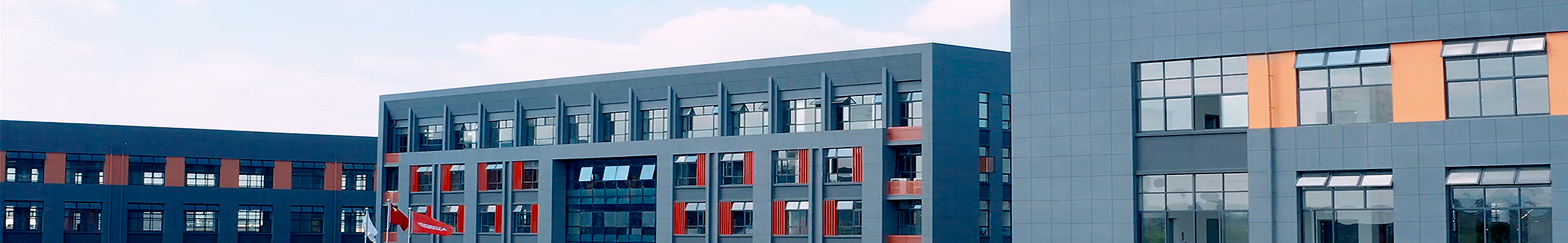 High‑Tech Manufacturer in Adhesives